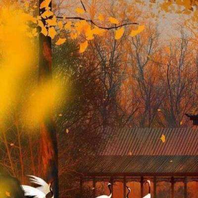 梦幻仙域gm版官方下载